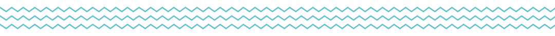 welle-mint_70px_lang
